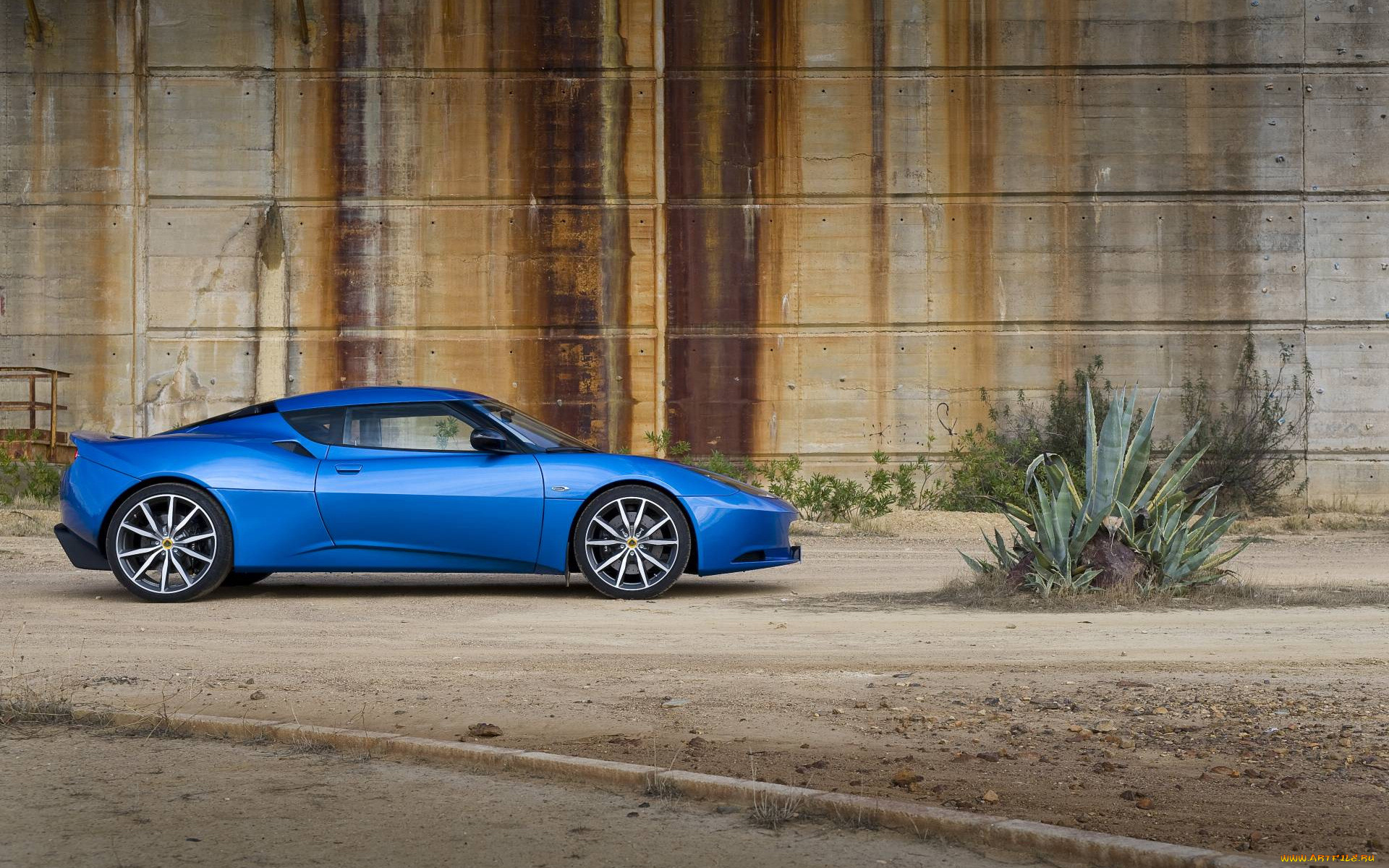 , lotus